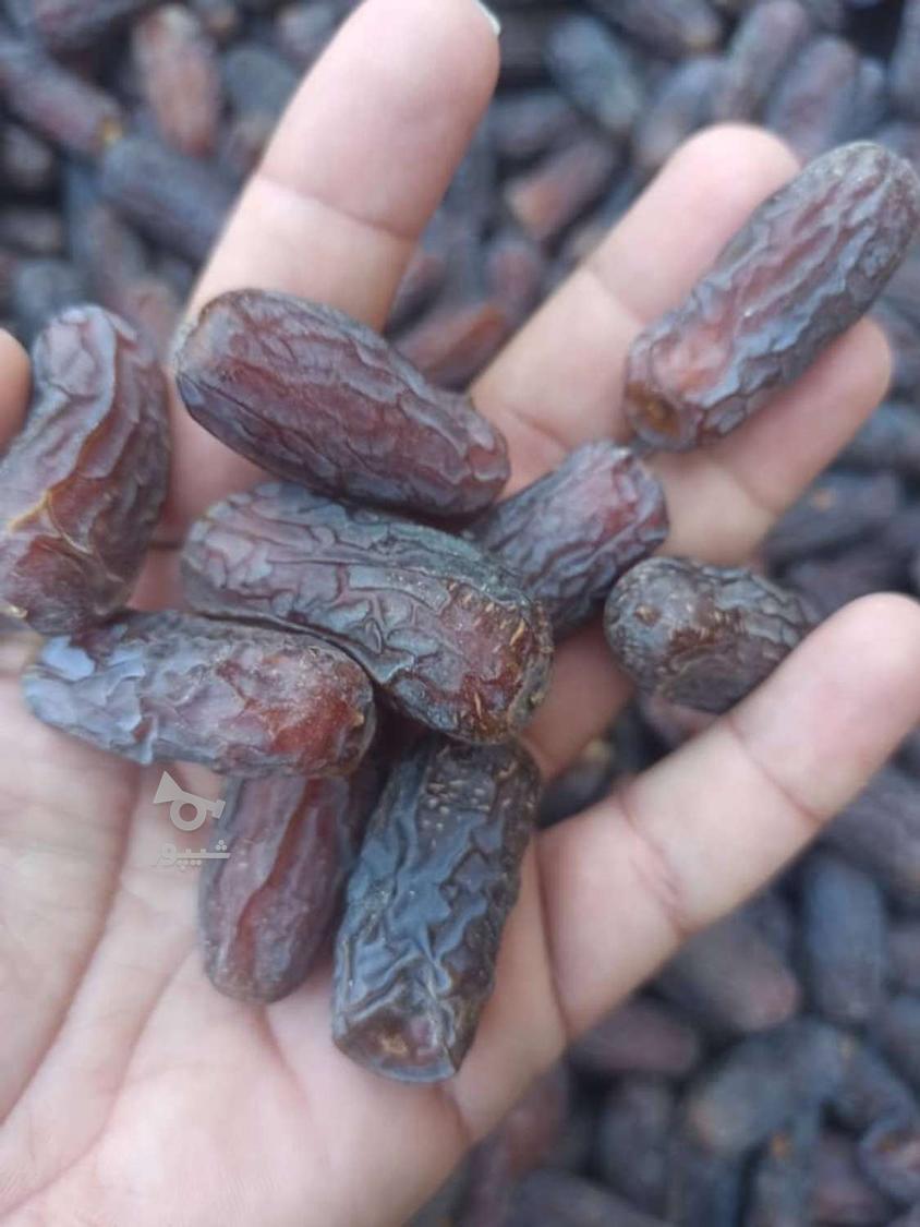 فروش خرما مضافتی