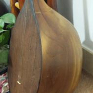 فروش یک عدد دوتار