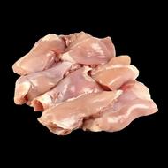 نیروی آقاماهروساده