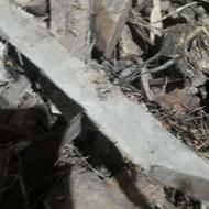 چوب هیزمی خشک