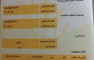 فروش باغ انگور با بهترین موقعیت مکانی