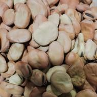 باقلا خوش پخت