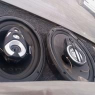 باند خربزه ای