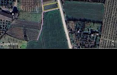 300 متر زمین در التپه خیابان کشاورز