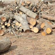 خرید ضایعات چوب