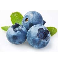 نهال بلوبری 6 ساله