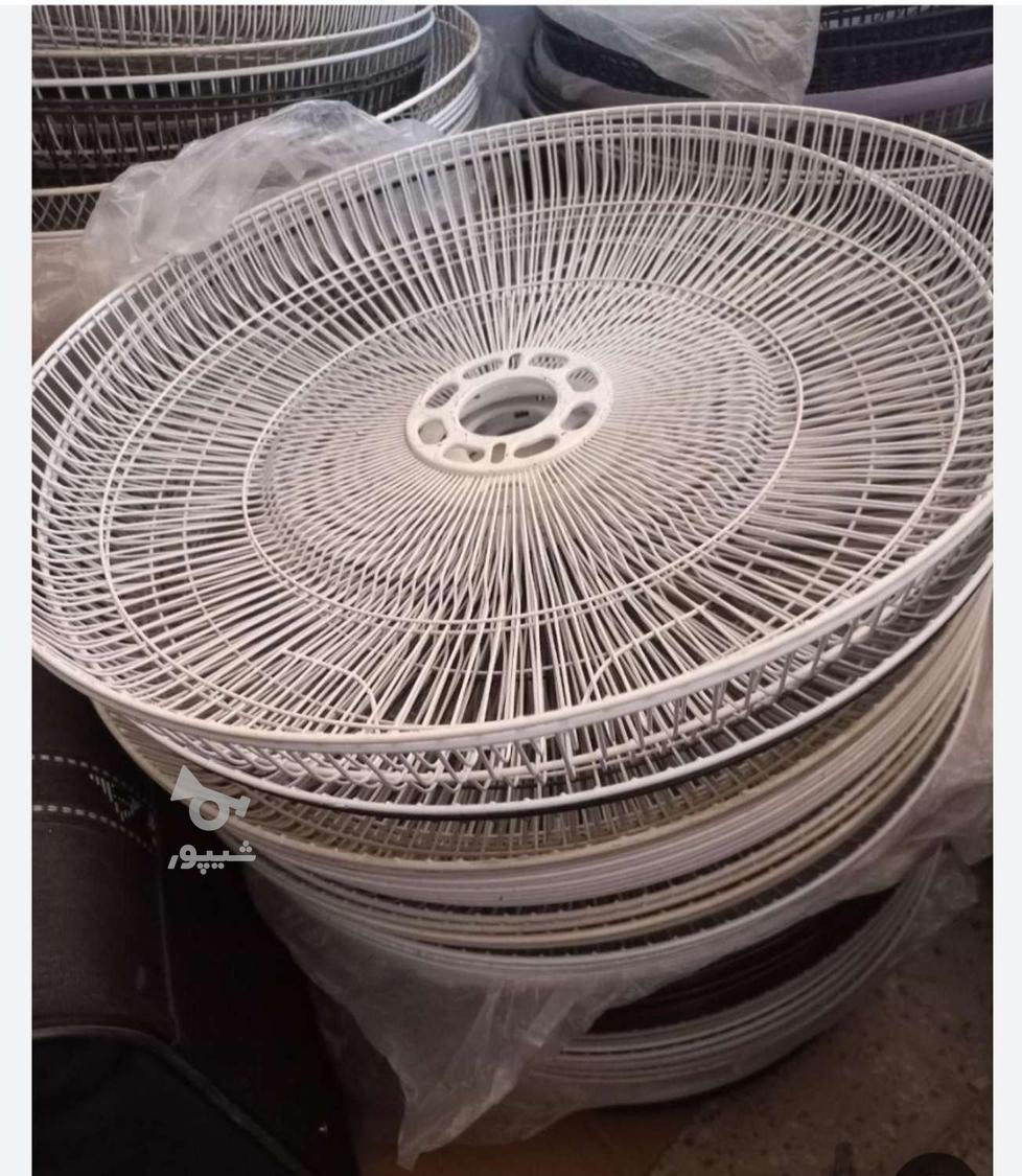 طوری و گارد پنکه