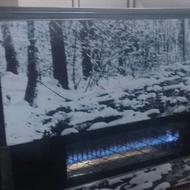 بخاری ایران شرق بزرگ وسالم