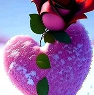 خدمات منزل.