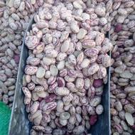 فروش عمده و جزیی حبوبات