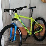 مریدا بیگ سون 100