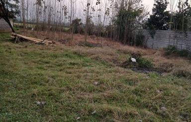 فروش فوری زمین روستایی مسکونی وفضای سبز