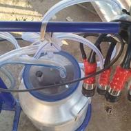 شیردوش در حد نو