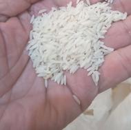 برنج فجرشالی