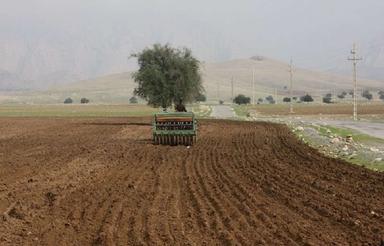 زمین کشاورزی