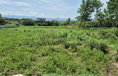 فروش زمین مسکونی 400 متر در بندپی بابل