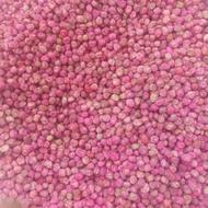 خرید بذر نخود فرنگی