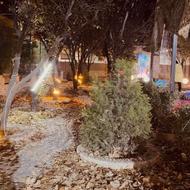 برگزاری مراسم بانوان در باغ