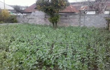 فروش 200متر زمین در فریدونکنار روستای کریمکلا زاهدکلا