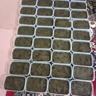 سبزی خورشتی تازه