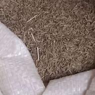 زیره...کراویه بذری