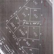 فروش زمین مسکونی 2000 متر