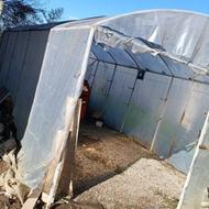 گلخانه آهنی