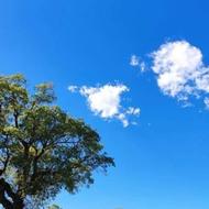 فروش زمین منطقه مازندران1