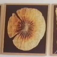 تابلو سه تیکه