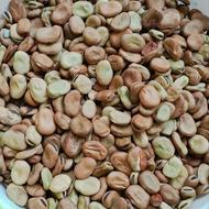 باقالی خشک امساله