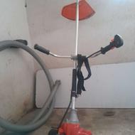 علف زن صفر نوع