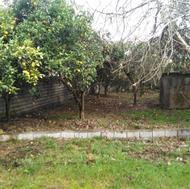 فروش 306 متر زمین مسکونی با پروانه ساخت