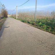 فروش زمین مسکونی 2400 متر در پیشخان