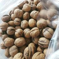 گردوی یکدست و درشت مغز دار