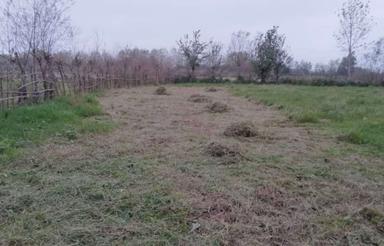 فروش زمین شالیزار 2000 متر آستانه روستا فشتم