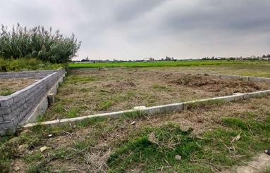 فروش زمین 450 متر در گرمیچ لاله اباد