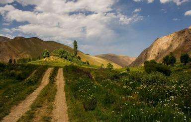 باغ 1,500 متری در بهترین لوکیشن اطراف تهران زیر قیمت