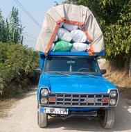 نیسان سایپا