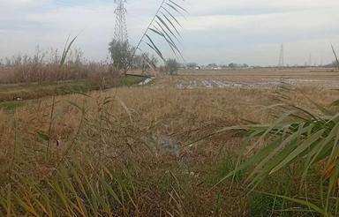 فروش زمین کشاورزی 2200 متر در بوله کلا بر اصلی کمربندی