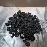 مویز سایه خشک هسته دار