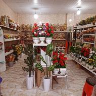 مغازه گل فروشی حرازی