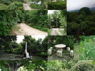 فروش باغ با موقعیت و امکان گردشگری ممتاز،کردکوی،استان گلستان