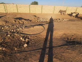 سالون چند منظوره