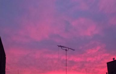 خریدار منزل ویلایی