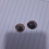 مهره مار اصل