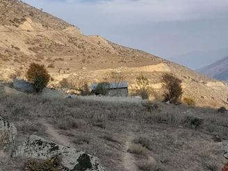 زمین باغی متری830