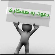 کارگاه بسته بندی لواشک