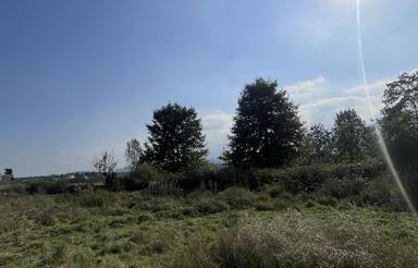 250 متر زمین واقع در جاده چمستان(سرکاج)