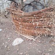 میله گرد تک خط توت فرنگی