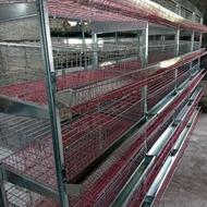 فروش قفس مرغ و بلدرچین